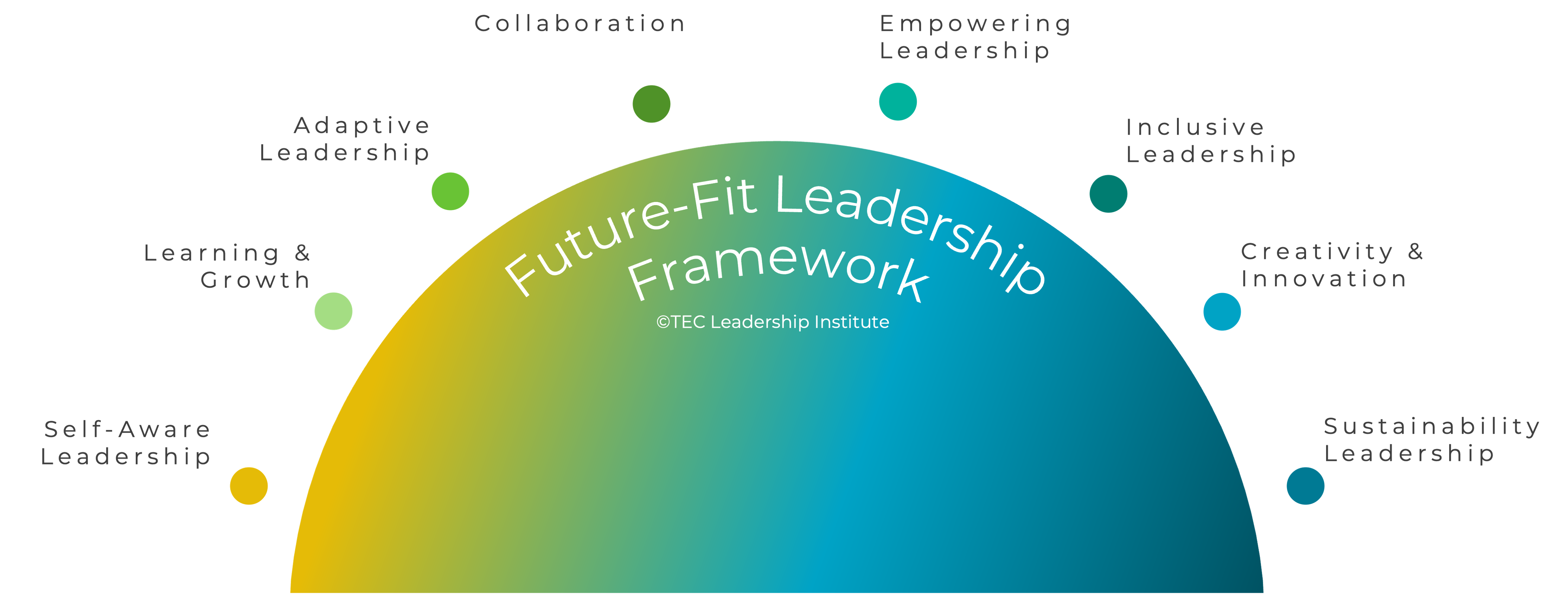 Future-Fit Leadership Framework Copyright