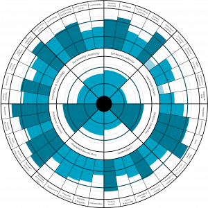 Future-Fit Leadership Assessment Skills Results